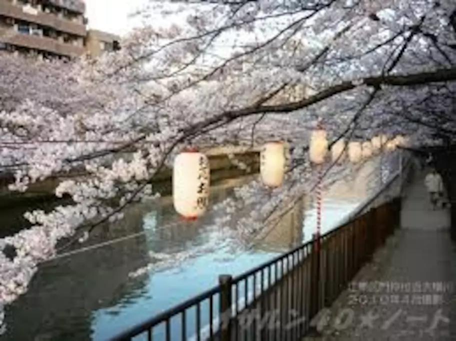 Lovely Old House On River Tokio